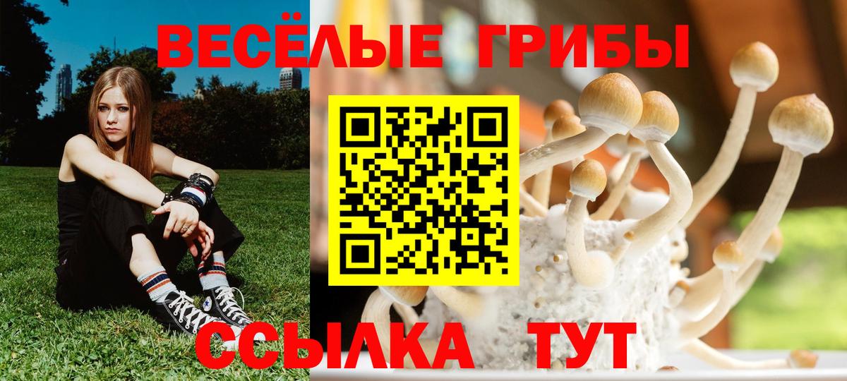 Бор  Псилоцибиновые грибы ЛСД  Вход с VPN 